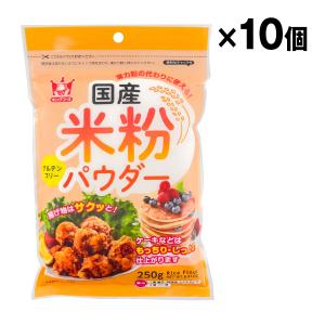 国産 米粉パウダー 250g 10個入 1ケース まとめ買い｜racooldepo