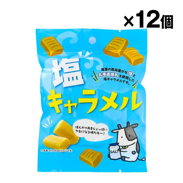 塩キャラメル 55g 12袋入 業者向け 1ケース まとめ買い