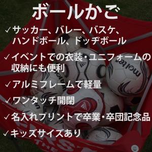 ボールかご 大 キャリーバッグ付 ネーム入れ可...の詳細画像1