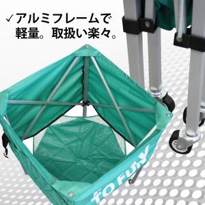 ボールかご 大 キャリーバッグ付 ネーム入れ可...の詳細画像4