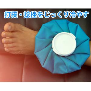 氷のう 氷嚢 アイシングバッグ 熱中症 発熱 ...の詳細画像2