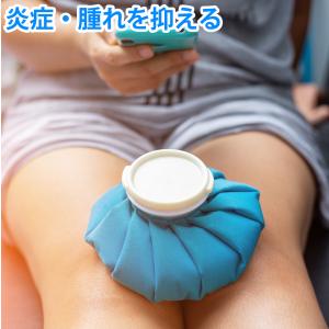 氷のう 氷嚢 アイシングバッグ 熱中症 発熱 ...の詳細画像3