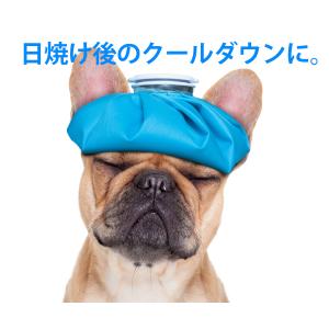 氷のう 氷嚢 アイシングバッグ 熱中症 発熱 ...の詳細画像4
