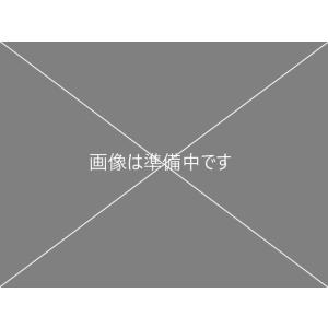 スピードラダー マニュアル キャリーバッグ 付 トレーニングラダー