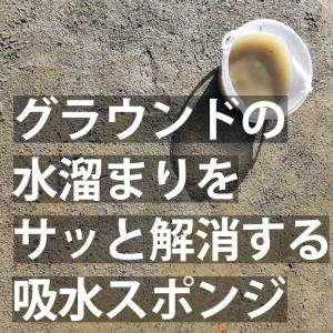 アウトレット 吸水 スポンジ グラウンド コー...の詳細画像1