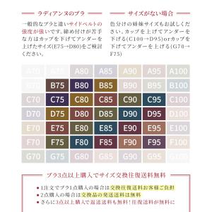【20%OFF】ブラジャー ノンワイヤーブラ ...の詳細画像1