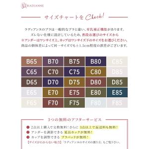 チューブトップ 落ちない ブラジャー エアリー...の詳細画像1