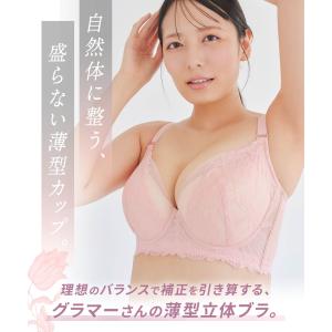 ブラジャー 補正下着 ナイトブラ フィットイン...の詳細画像2