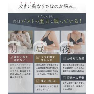 ブラジャー 補正下着 ナイトブラ フィットイン...の詳細画像3