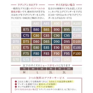 ノンワイヤーブラ 胸を小さく見せるブラ クラッ...の詳細画像1