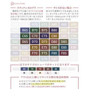 ブラジャー 補正下着 ナイトブラ 昼夜兼用 ギ...の詳細画像1