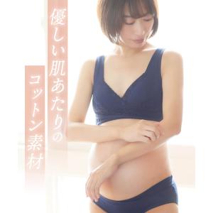 お腹カシュクール コットン ショーツの詳細画像3