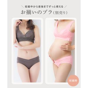 お腹カシュクール コットン ショーツの詳細画像4