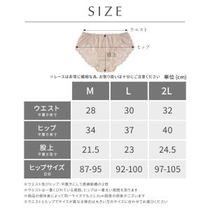 ショーツ レディース スタンダード 透けない ...の詳細画像5