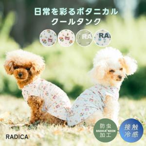 【予約4月16日順次発送】【早割/まとめ買い】 ...の商品画像