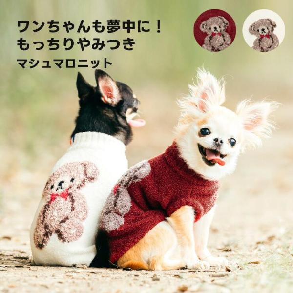 【予約10月9日順次発送】【獣医師監修】【まとめ買い】犬 服 ラディカ  IFMC.イフミック くま...