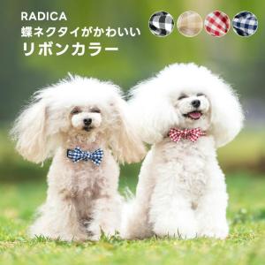 犬 首輪 ラディカ RADICA カラー リボン付き おしゃれ リボン