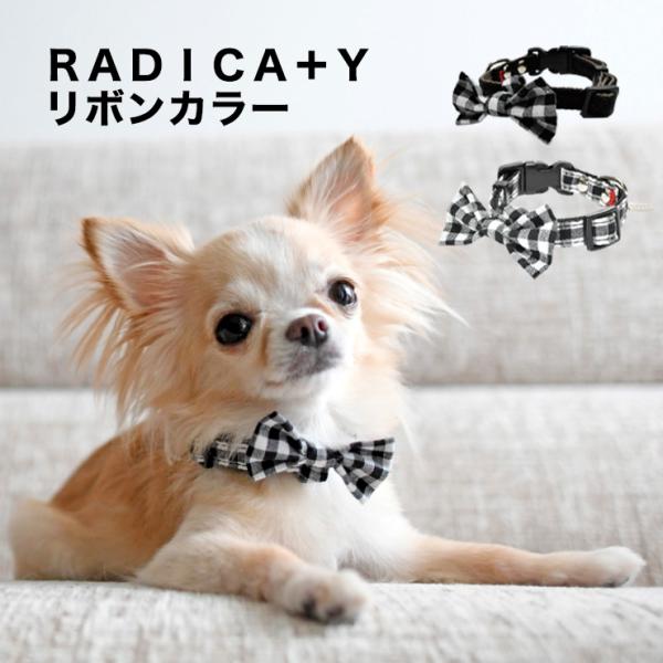 犬 首輪 ラディカ リボン カラー 単品 SS S M L おしゃれ かわいい 小型犬 猫 ペットカ...