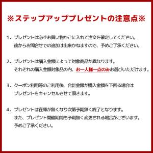 【合計8,000円以上の商品と一緒にカートに入...の詳細画像1