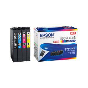 エプソン ビジネスインクジェット用 インクカートリッジ（4色パック）/大容量インク IB09CL4B