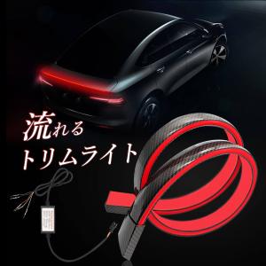 LED シーケンシャル 流れる ブレーキランプ ウインカー トリムライト ウイング レッド T20 S25 T20 連動可能 スポイラー カーボン 1本価格 Radies SK