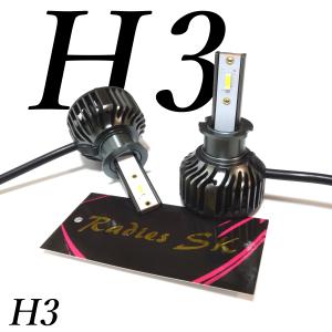RN1ステラ H3 LED フォグランプ 12V ホワイト バルブ 6000k 12000LM  車検対応 1年保証 12万cd バージョンアップ Radies SK