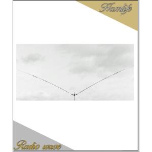 特別送料込】TV-31J(TV31J) ナガラ電子工業 7.21.28(29)MHz帯用