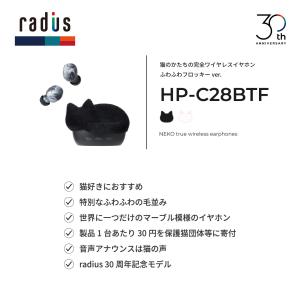 ラディウス radius HP-C28BTF ...の詳細画像3