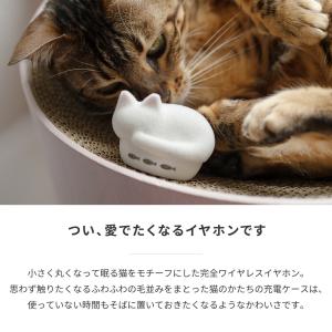 ラディウス radius HP-C28BTF ...の詳細画像4