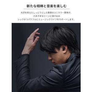 ラディウス radius HP-T250BT ...の詳細画像5