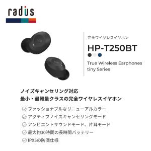 ラディウス radius HP-T250BT ...の詳細画像4