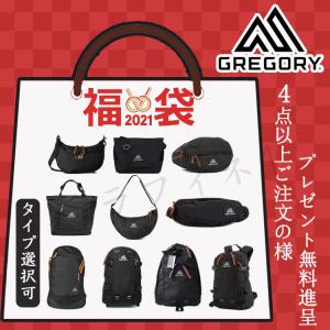 プレゼント無料進呈中　4点セット GREGORY グレゴリー ショルダーバッグ&amp;ウエストバッグ＆リュック 送料無料　お買い得セット