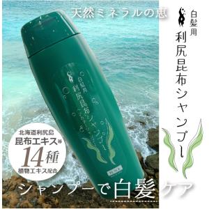 利尻昆布 カラーシャンプー 利尻昆布エキス 手軽に 簡単 白髪染め ノンシリコン ブラック ブラウン