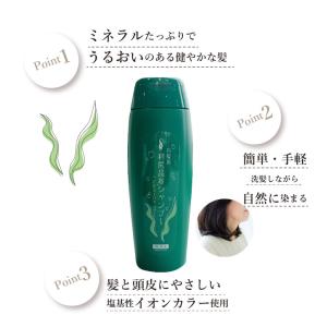 利尻昆布 カラーシャンプー 利尻昆布エキス 手...の詳細画像1