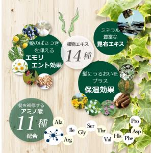 利尻昆布 カラーシャンプー 利尻昆布エキス 手...の詳細画像5