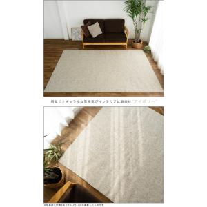 カーペット 8畳 江戸間 ラグカーペット 抗菌...の詳細画像2