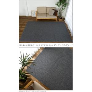 カーペット 8畳 江戸間 防ダニ 抗菌 防臭 ...の詳細画像2