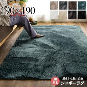 スミノエ 防ダニ 日本製 130×185cm 変形ラグ カボチャクモラグ : 四季