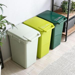 ゴミ箱 45リットル おしゃれ スリム アメリカン キッチン 45l 屋外 ごみ箱 ダストボックス くず入れ