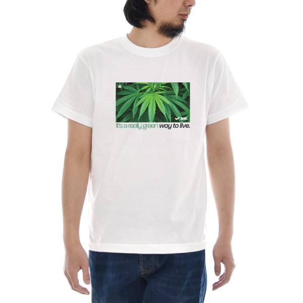 大麻 Tシャツ ジャスト CANNABIS BOX 半袖Tシャツ メンズ おしゃれ 大きいサイズ 麻...