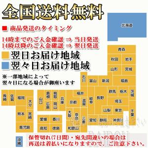 NV350キャラバン H29.7- E26 ウ...の詳細画像5