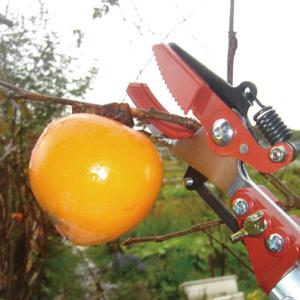 ●藤原産業 千吉 三段伸縮高枝切りバサミ 15...の詳細画像4
