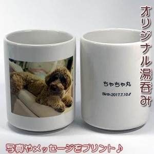 メッセージ入り湯呑み・メモリアル写真・お子様やペットの写真入り湯呑みを1個から作成（大きいサイズの湯呑です）116075　敬老の日　ギフト　クリスマス