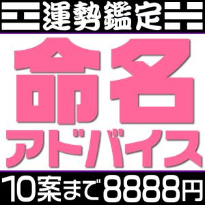 姓名判断による命名判断　候補数７案〜１０案　赤ちゃんの命名・名付けアドバイス。旧字画数と新字画数の両方を考慮して運勢診断します。｜raimdou