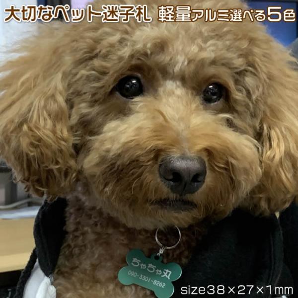 片面彫刻ペットタグ・ペットネームプレート・迷子札　ボーン　軽量で負担も少なく耐久性の良いアルミ製5種...