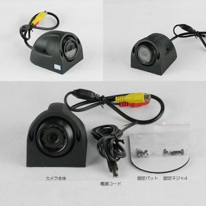 ドームタイプ バックカメラ リアカメラ お気に入 Rca 接続端子 レンズ 広角1度 車載 Dc12v 鏡像 カー用品 Rim Side C100