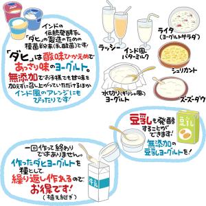 ダヒ ヨーグルト 種菌 5包 (カスピ海ヨーグ...の詳細画像2