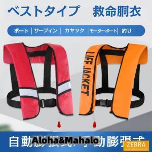 ライフジャケット 釣り 大人 男性 女性 救助用...の商品画像