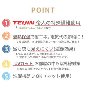 イージーオーダー レースカーテン EO 帝人 ...の詳細画像1