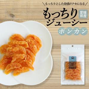ドライフルーツ 国産 ポンカン 半生 もっちりジューシー メール便 ぽんかん 柑橘 げんき本舗